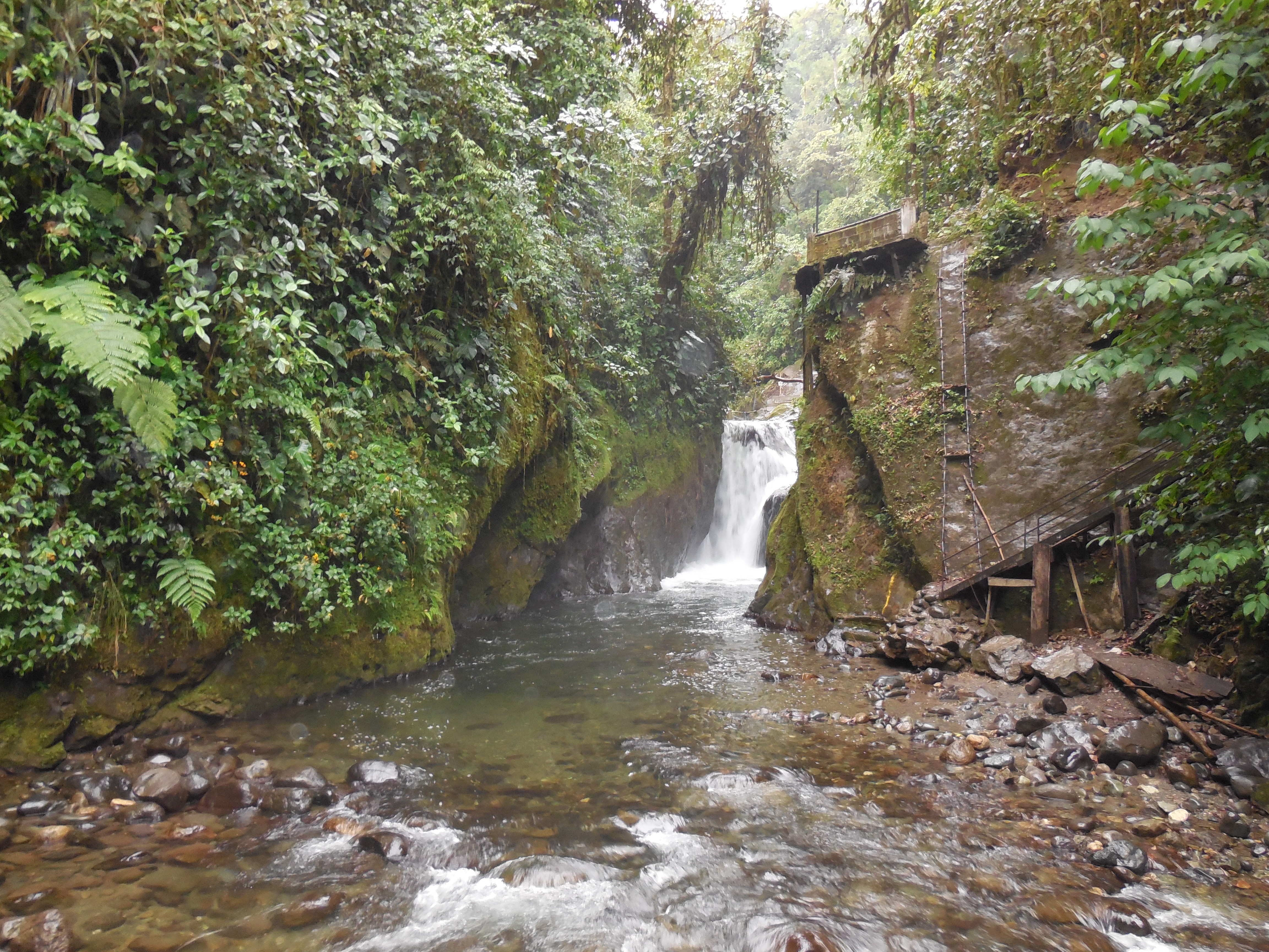 Wasserfall Mindo